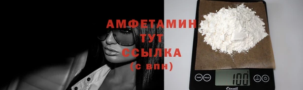 спиды Абаза