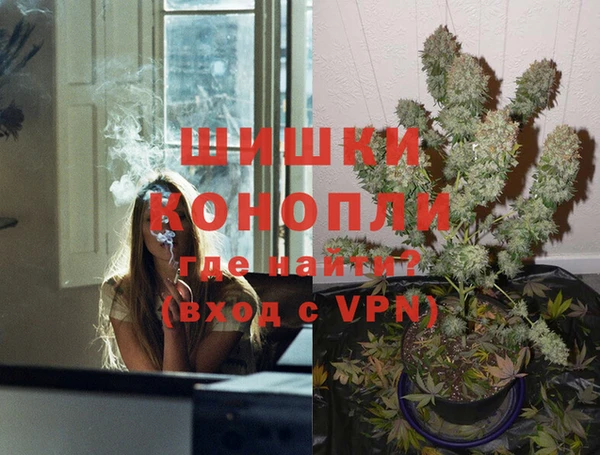 PSILOCYBIN Ельня