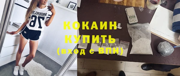 молекула духа Абинск