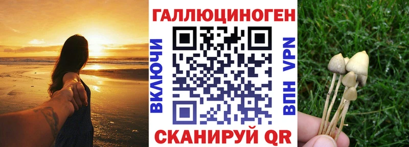 ссылка на мегу ONION  как найти   Инза  Псилоцибиновые грибы MAGIC MUSHROOMS 